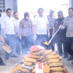 IMG-20250220-WA0007