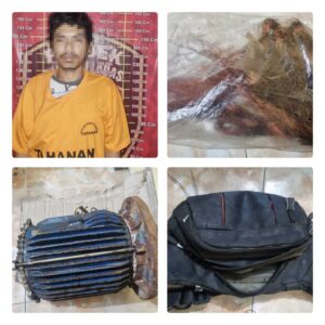 collage_4_0-1739536027002