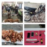 collage_4_0-1740354435327