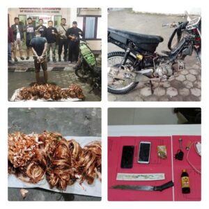 collage_4_0-1740354435327