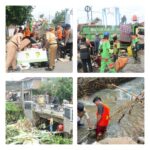 collage_4_0-1740481510128