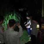 IMG-20250515-WA0003