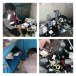 collage_4_0-1747197987581