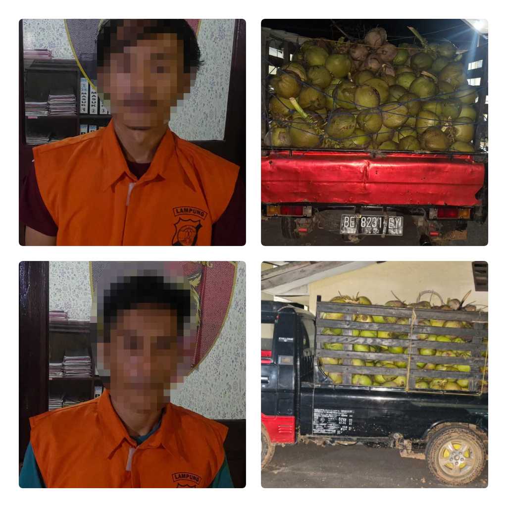 collage_4_0-1748590680062