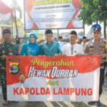 IMG-20250606-WA0017