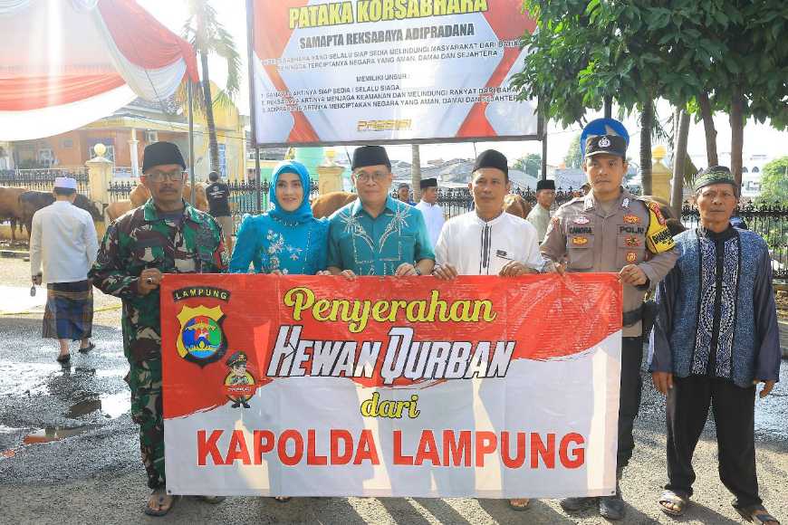 IMG-20250606-WA0017
