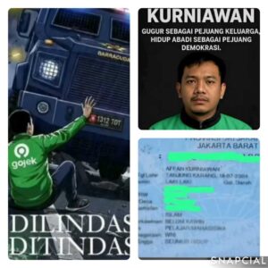 collage_3_3-1756462133327