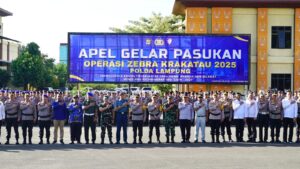 IMG-20251117-WA0093(1)