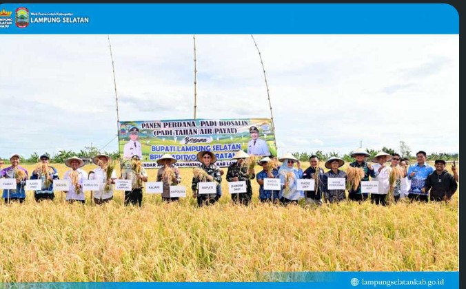 Screenshot_20251106_211243~2