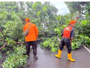 Screenshot_20251123_184250~2