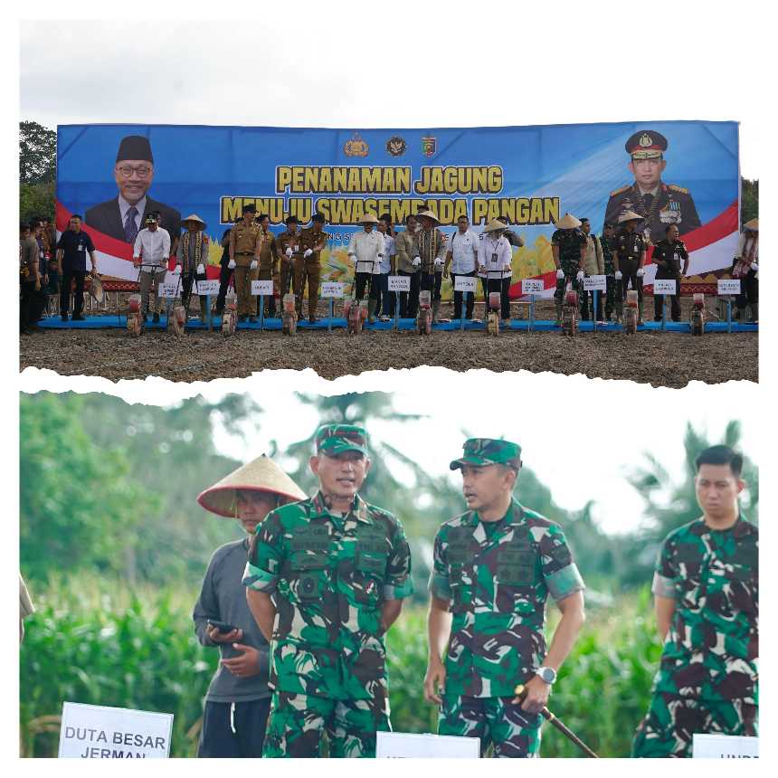 GridArt_20251203_064720769