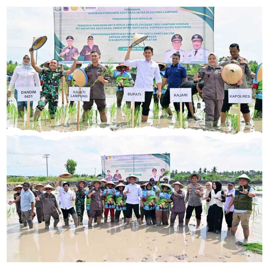 GridArt_20251210_131631155