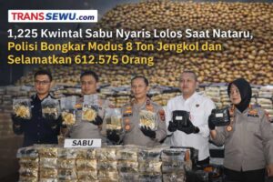 file_00000000503c71fa8a59e768d3864f2d (1)