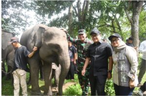 Screenshot_20260209_115158~2