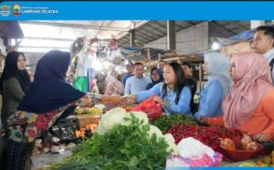 Screenshot_20260217_133543 (1)