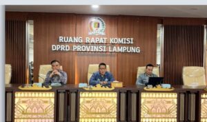 Screenshot_20260218_144331~2