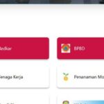 Cukup Kirim “Hallo”, Layanan Pengaduan Digital Lampung Selatan Segera Hadir, Bupati Egi Tekankan Kemudahan Akses
