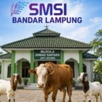 Iduladha 1447 H, SMSI Bandar Lampung Salurkan 1 Sapi dan 2 Kambing untuk Anggota dan Warga