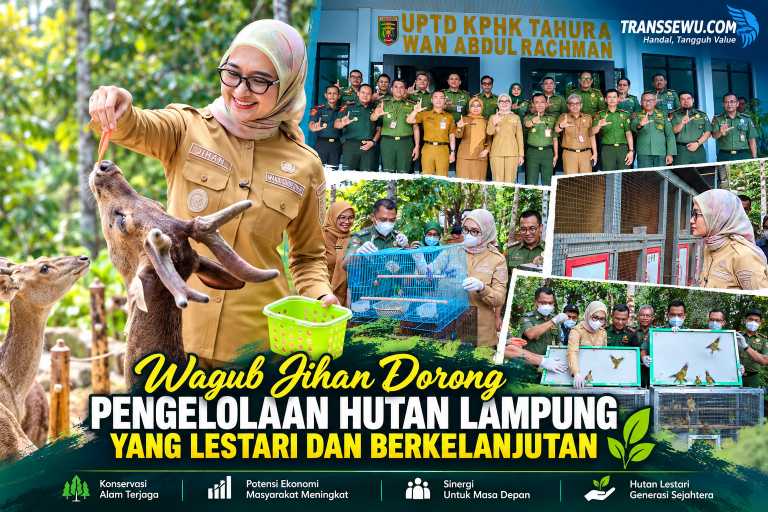 file_000000005274820795f5cc356cc2c2d7