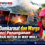 Sinergi Damkarmat dan Warga Jadi Kunci Penanganan Kebakaran Hutan di Way Muli